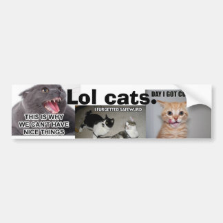 Autocollant De Voiture Chats de Lol