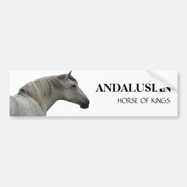 AUTOCOLLANT DE VOITURE CHEVAL ANDALOU 2 (Devant)