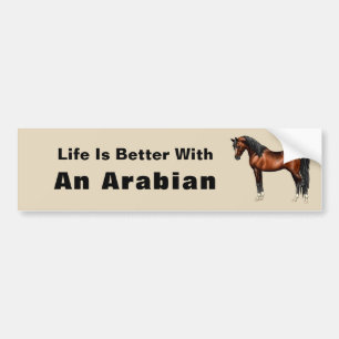 Autocollant De Voiture Cheval Arabe égyptien de baie foncée