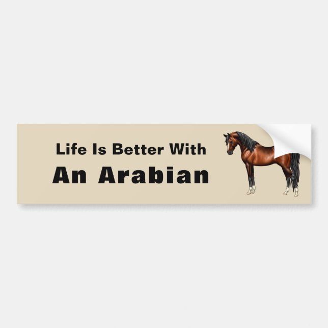 Autocollant De Voiture Cheval Arabe égyptien de baie foncée (Devant)