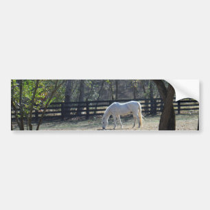 Autocollant De Voiture Cheval blanc dans les arbres