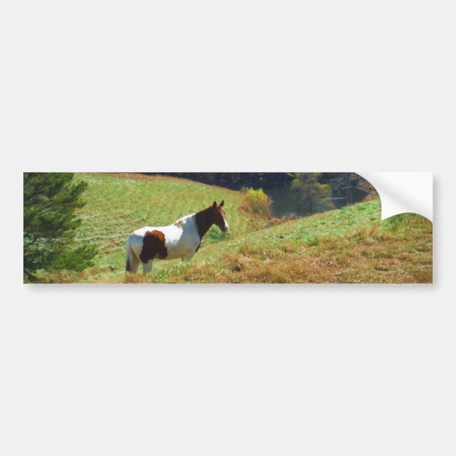 Autocollant De Voiture Cheval blanc et Brown, étang d'automne (Devant)