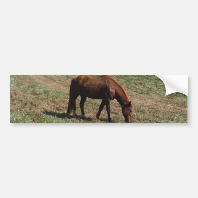 Autocollant De Voiture Cheval Brown avec arbres à automne (Devant)