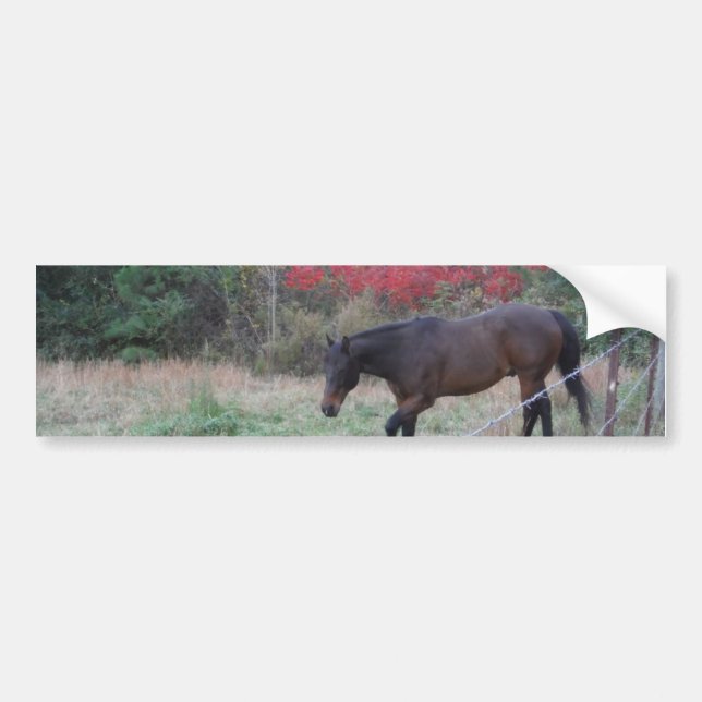 Autocollant De Voiture Cheval Brown dans les arbres d'automne rouges (Devant)