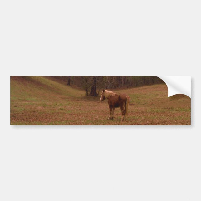 Autocollant De Voiture Cheval Brown et blond dans un champ (Devant)