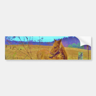 Autocollant De Voiture Cheval de couleur rétro