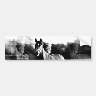 Autocollant De Voiture Cheval de course B&W