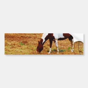 Autocollant De Voiture Cheval de Noël
