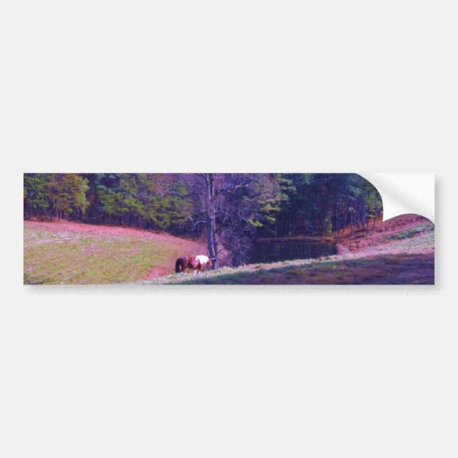 Autocollant De Voiture Cheval éloigné dans un champ violet (Devant)