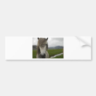 Autocollant De Voiture Cheval islandais