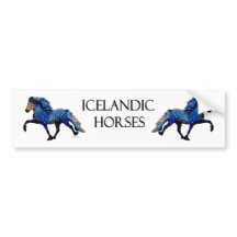 Cheval islandais charismatique de Stary Night