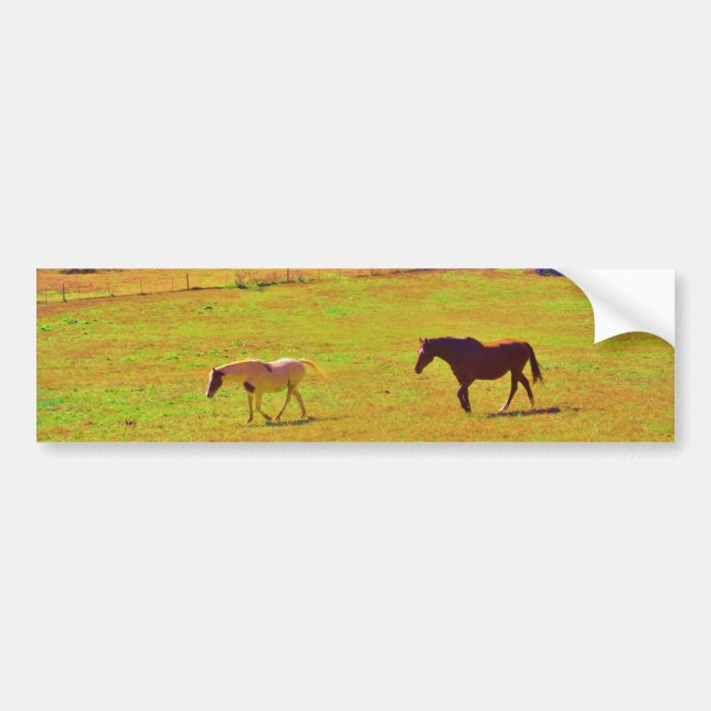 Autocollant De Voiture Chevaux dans un champ de couleur arc-en-ciel (Devant)