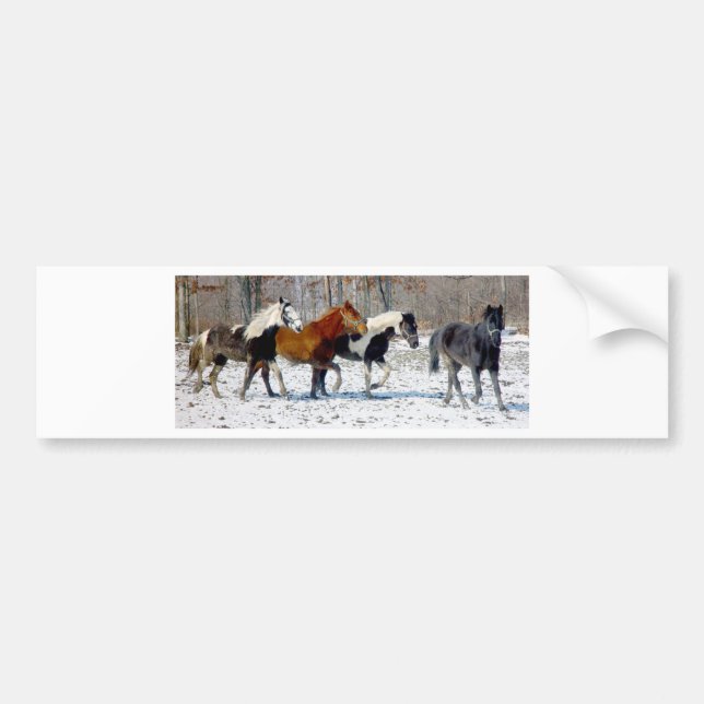 Autocollant De Voiture Chevaux sauvages (Devant)