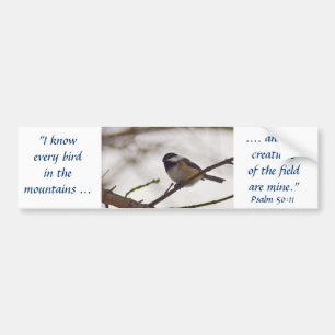 Autocollant De Voiture Chickadee sur une brindille