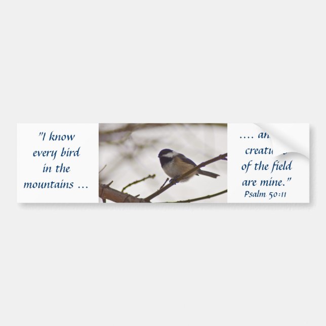 Autocollant De Voiture Chickadee sur une brindille (Devant)