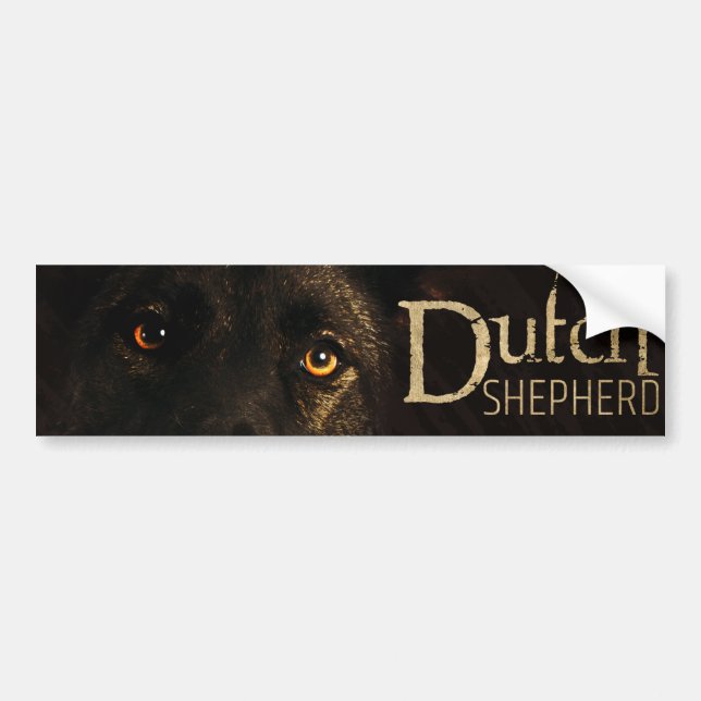 Autocollant De Voiture Chien de berger néerlandais - Dutchie (Devant)