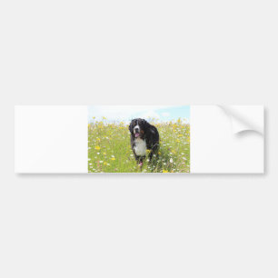 Autocollant De Voiture chien de montagne bernais en champ