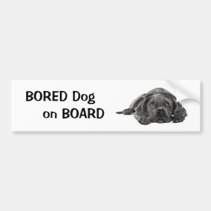 Autocollant De Voiture CHIEN ENNUYÉ À BORD : Art de crayon