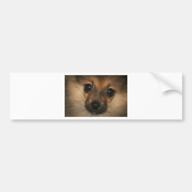 Autocollant De Voiture Chien fantôme (Devant)
