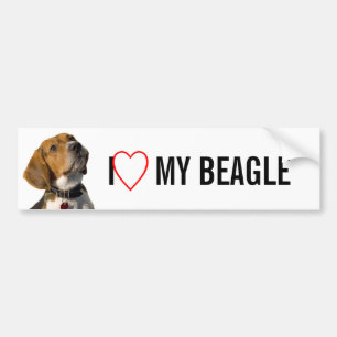 Autocollant De Voiture Chien mignon de beagle