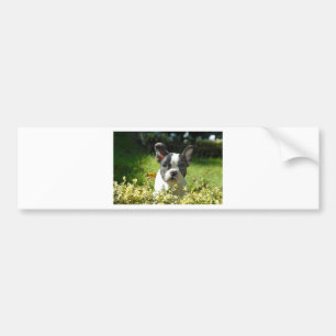 Autocollant De Voiture Chien noir et blanc