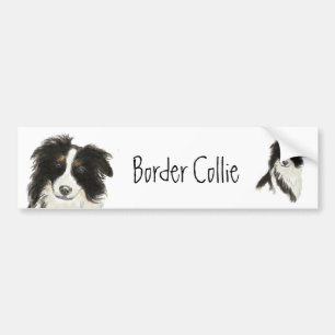 Autocollant De Voiture Chien o de border collie