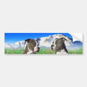 Autocollant De Voiture Chiens Brindle et bleus du Staffordshire et de