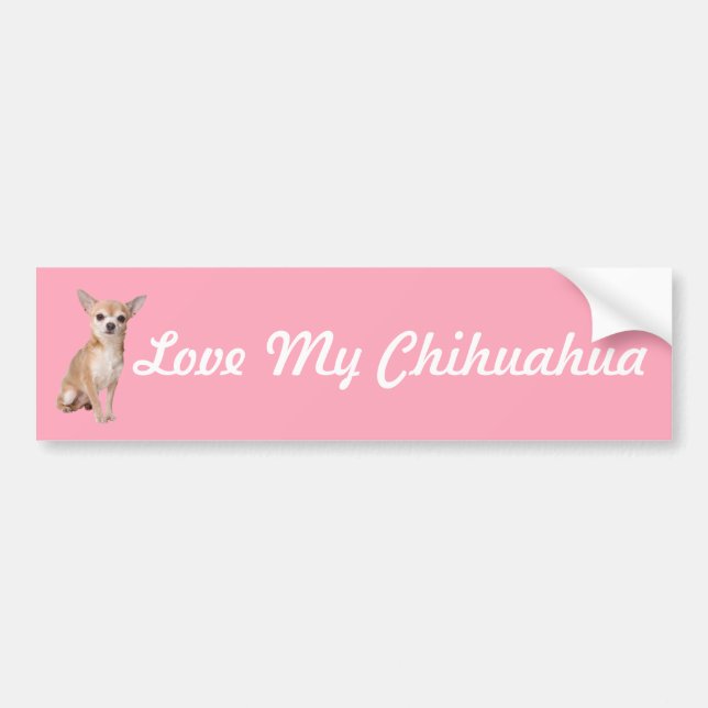 Autocollant De Voiture Chihuahua (Devant)