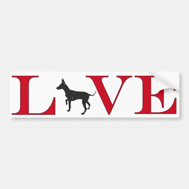 Autocollant De Voiture Chihuahua Lover Bumpersticker (Devant)