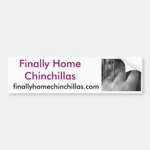Autocollant De Voiture Chinchillas enfin à la maison, piments