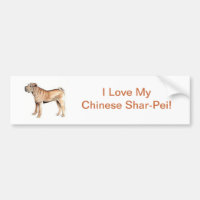 Chinois Shar-Pei