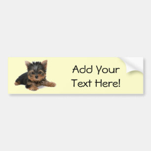 Autocollant De Voiture Chiot de Yorkie