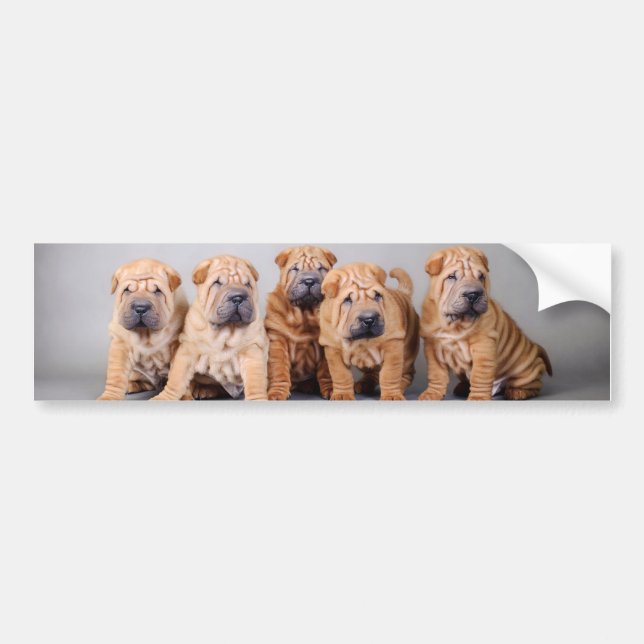 Autocollant De Voiture Chiots chinois Shar Pei (Devant)
