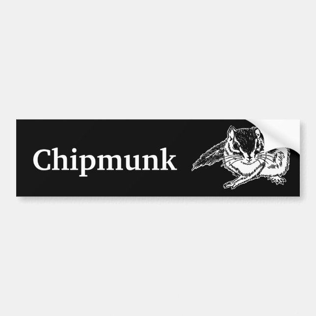 Autocollant De Voiture chipmunk 2 (rough sketch) (Devant)