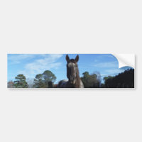 Chocolat au lait Cheval Brown en bleu
