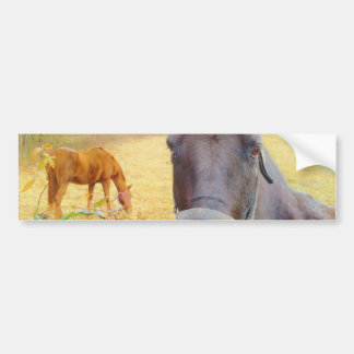 Autocollant De Voiture Chocolat cheval Brown