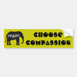 Autocollant De Voiture Choisissez la compassion