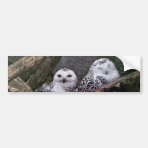 Autocollant De Voiture Chouette Harfang Couple Art Bois Faune