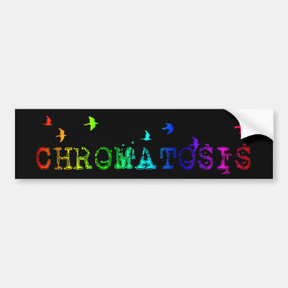 Autocollant De Voiture chromatose : oiseaux arc-en-ciel :