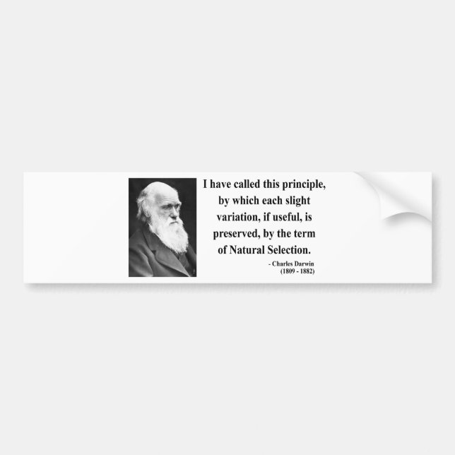Autocollant De Voiture Citation 6b de Charles Darwin (Devant)