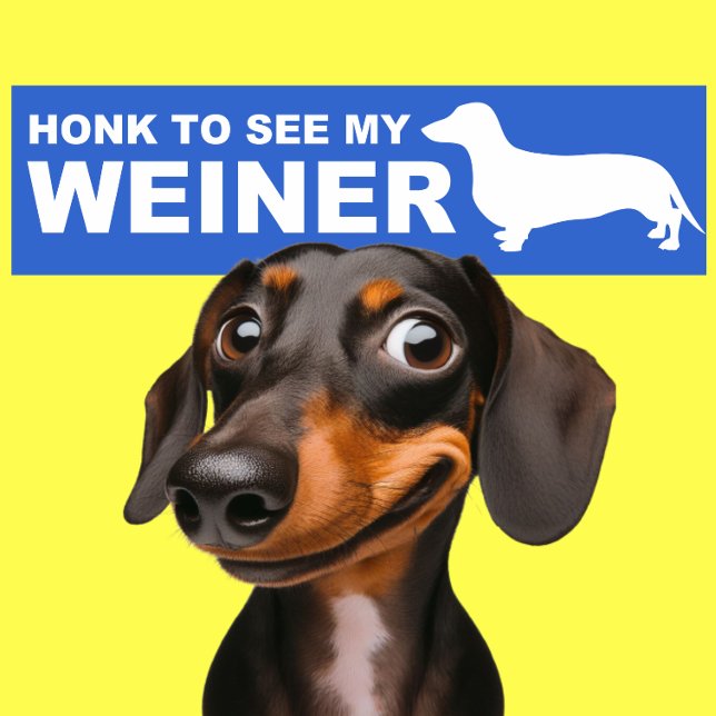Autocollant De Voiture Citation de chien de chien de chien (Dachshund) dr (Créateur téléchargé)