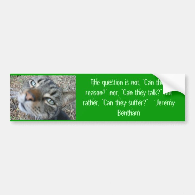 Autocollant De Voiture Citations d'animal - d'adhésif pour pare-chocs de (Devant)