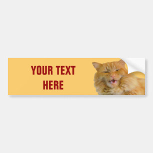 Autocollant De Voiture Citrouille parlant orange de chat votre texte