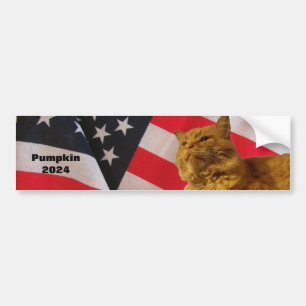 Autocollant De Voiture Citrouille Pour Président Drapeau Arrière - plan B