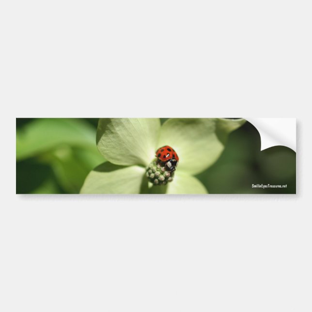 Autocollant De Voiture Coccinelle sur l'adhésif pour pare-chocs de photo (Devant)