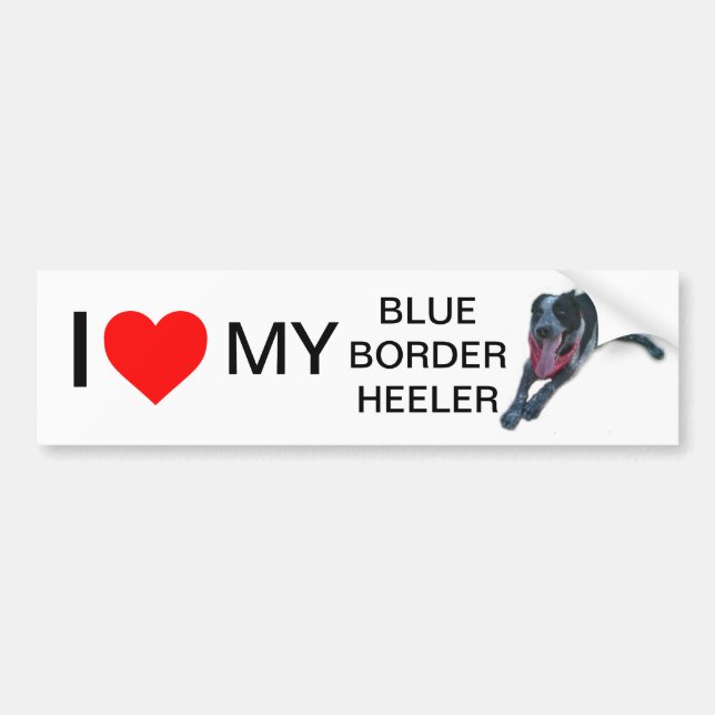 Autocollant De Voiture Coeur I ma frontière bleue Heeler (Devant)