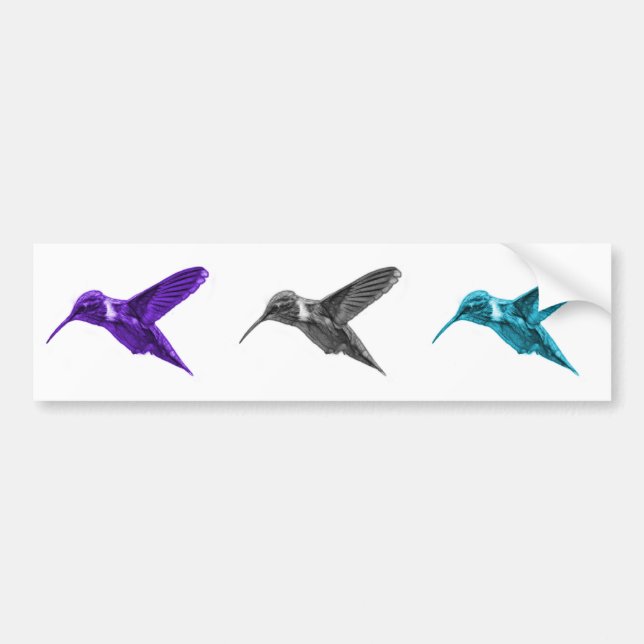 Autocollant De Voiture Colibri 2054 (Devant)