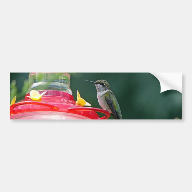 Autocollant De Voiture Colibri perché (Devant)
