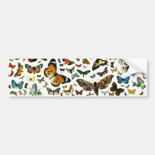 Autocollant De Voiture Collage des papillons de nuit et des papillons de 