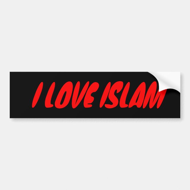 AUTOCOLLANT DE VOITURE COLLECTIONS BUMPERSTICKERS DE LA TERRE (Devant)